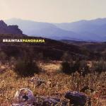 BRAINTAX - Panorama