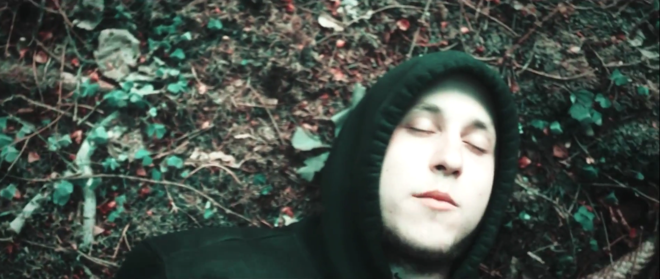 Atmosferą ten supa ramybė. LTZOO "Girios" video