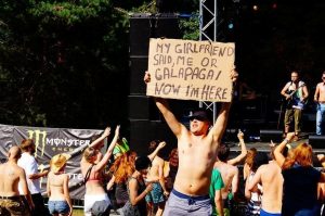 galapagai gestivalis