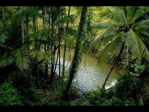 IGG – Jungle [Žodžiai, Tekstas, Lyrics]