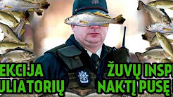 3SUN-C - ZUVU INSPEKCIJA [Žodžiai, Tekstas, Lyrics]
